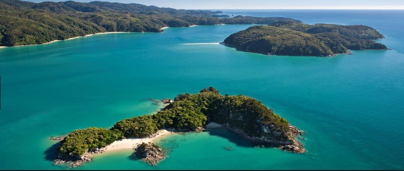 Essay writing new zealand