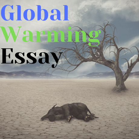 How to stop global warming essay