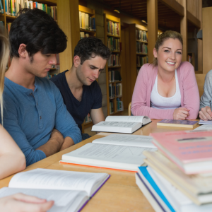 social media example essay