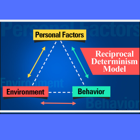 Determinism essay